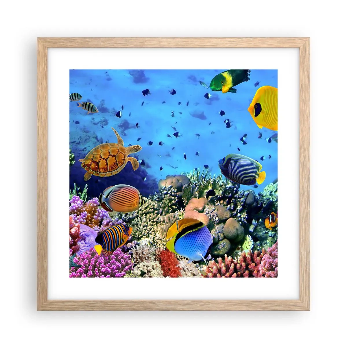 Affiche dans un chêne clair - Poster - Et que sait-on de la vie… - 40x40 cm