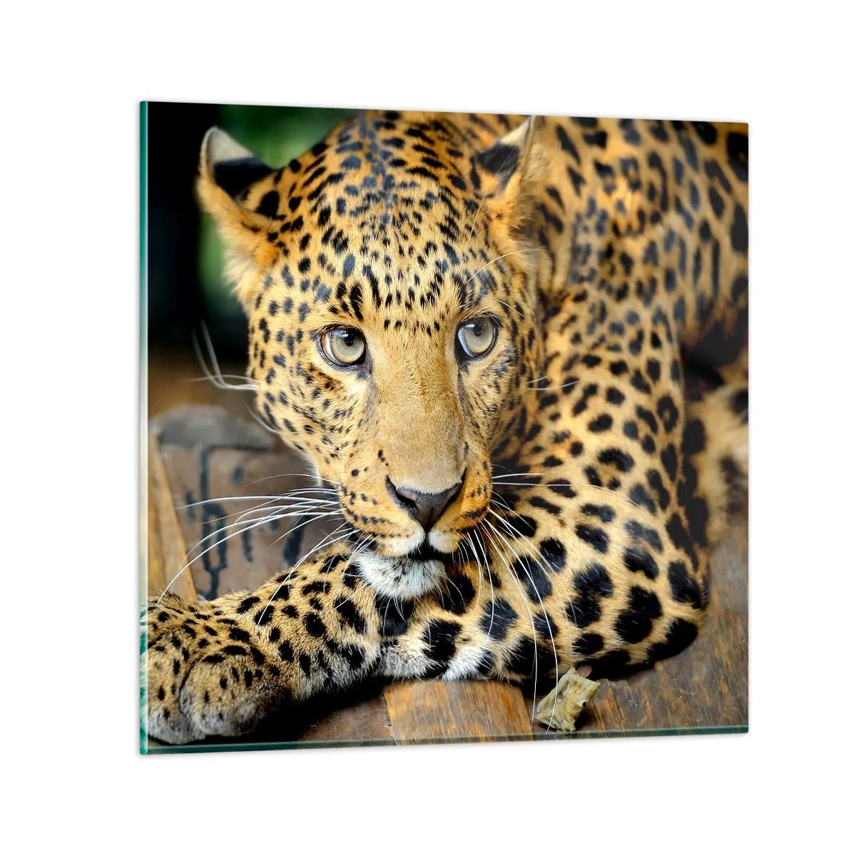 Impression sur verre - Image sur verre - N'aie pas peur, viens - 60x60 cm