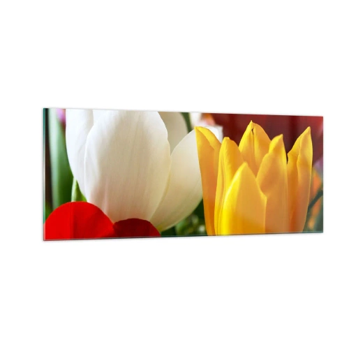 Impression sur verre - Image sur verre - La fièvre des tulipes - 100x40 cm