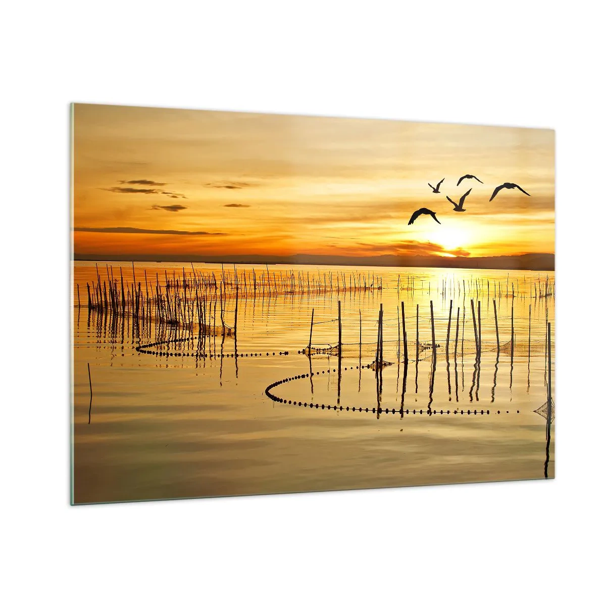 Impression sur verre - Image sur verre - Coucher de soleil sur un lac avec des oiseaux et des filets de pêche - 100x70cm - À la pêche - Décoration murale moderne pour le salon et la chambre ARTTOR