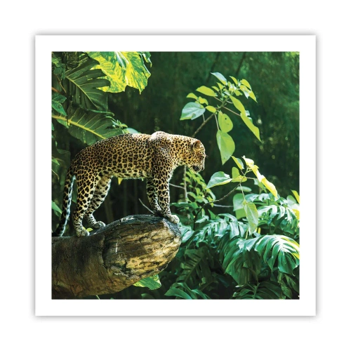 Affiche - Poster - À la chasse? - 60x60 cm