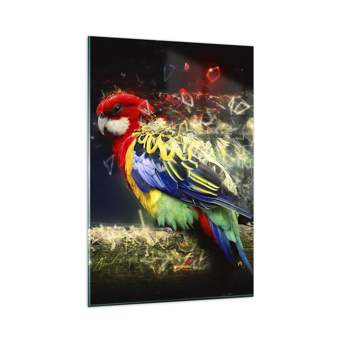 Impression sur verre - Image sur verre - Un perroquet aux couleurs vives sur un fond d'effets de lumière - 80x120cm - Messager d'éclat - Décoration murale moderne pour le salon et la chambre ARTTOR