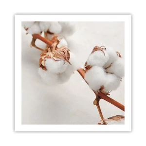 Affiche - Poster - Seulement caliner - 60x60 cm