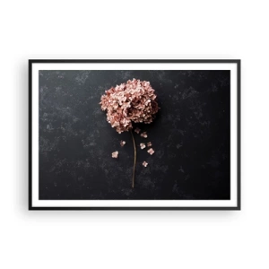 Affiche dans un cadre noir - Poster - Une délicate fleur d'hortensia sur un fond sombre - 100x70cm - Un signe vraiment romantique - Décoration murale moderne pour le salon et la chambre ARTTOR