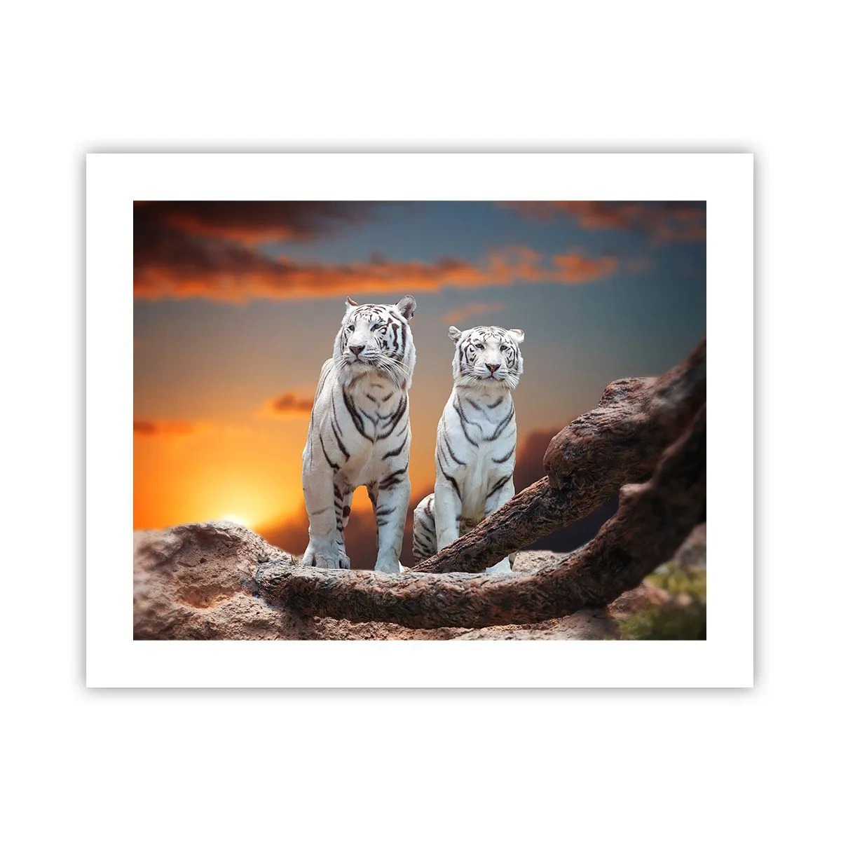 Affiche - Poster - Tout comme à Narnia - 50x40 cm