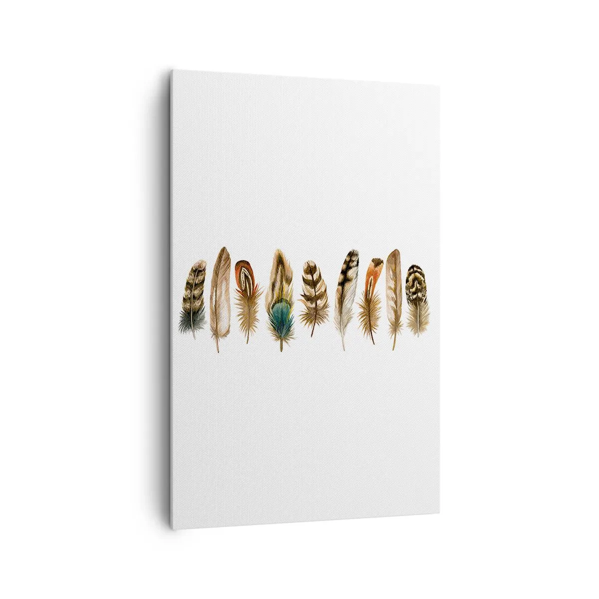 Impression sur toile - Image sur toile - Motif décoratif d'une collection de plumes diverses - 80x120cm - Variation à plumes - Décoration murale moderne pour le salon et la chambre ARTTOR