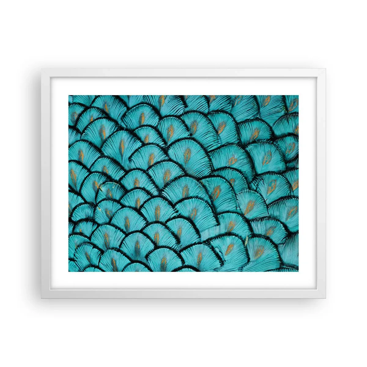 Affiche dans un cadre blanc - Poster - Le grand gala des plumes - 50x40 cm