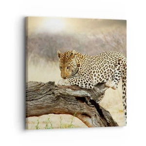 Impression sur toile - Image sur toile - Je suis ma propre route - 30x30 cm
