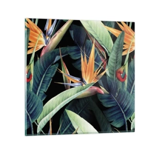 Impression sur verre - Image sur verre - Fleurs flamboyantes des tropiques - 30x30 cm