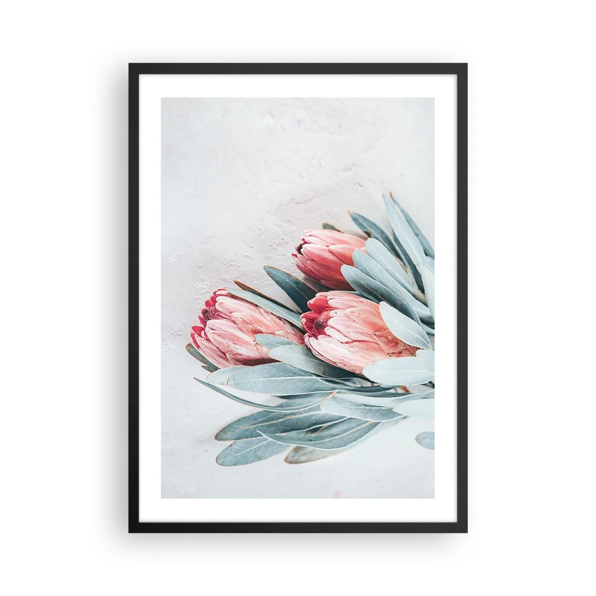 Affiche dans un cadre noir - Poster - Une composition subtile de fleurs de protéa sur un fond clair - 50x70cm - Honte de leur propre beauté - Décoration murale moderne pour le salon et la chambre ARTTOR