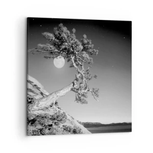 Impression sur toile - Image sur toile - Un combattant vainqueur - 50x50 cm