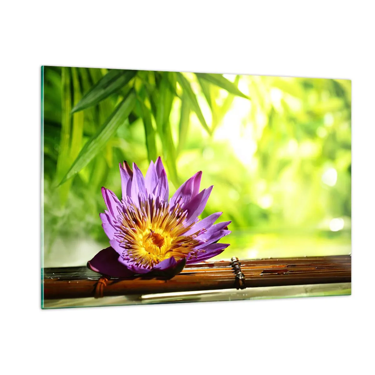 Impression sur verre - Image sur verre - Fleur de lotus violette sur une planche de bambou avec un fond vert - 120x80cm - Sous le soleil asiatique - Décoration murale moderne pour le salon et la chambre ARTTOR