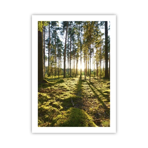 Affiche - Poster - Forêt verte le matin avec les rayons du soleil levant - 50x70cm - … Derrière les sept forêts - Décoration murale moderne pour le salon et la chambre ARTTOR
