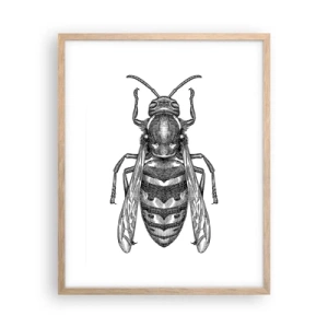 Affiche dans un chêne clair - Poster - D'une planète d'insectes - 40x50 cm
