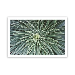 Affiche - Poster - Naissance d'une étoile - 91x61 cm