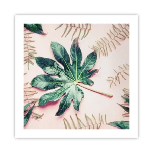 Affiche - Poster - Étude de verdure sur fond rose - 50x50 cm