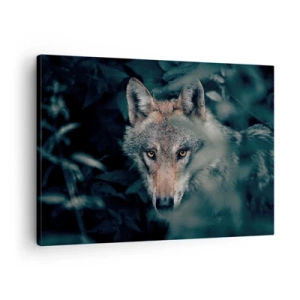 Impression sur toile - Image sur toile - Un loup dans son environnement naturel, regardant depuis les profondeurs de la forêt. - 70x50cm - Chasseur - Décoration murale moderne pour le salon et la chambre ARTTOR