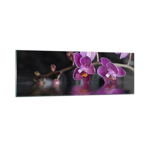 Impression sur verre - Image sur verre - Reflet lilas de la beauté - 90x30 cm
