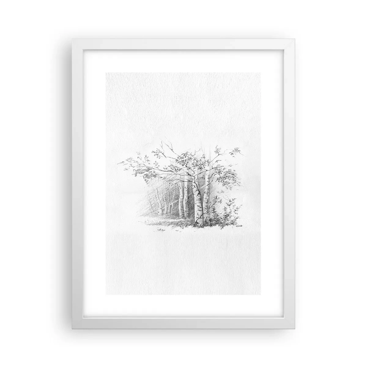 Affiche dans un cadre blanc - Poster - Lumière d'une forêt de bouleaux - 30x40 cm