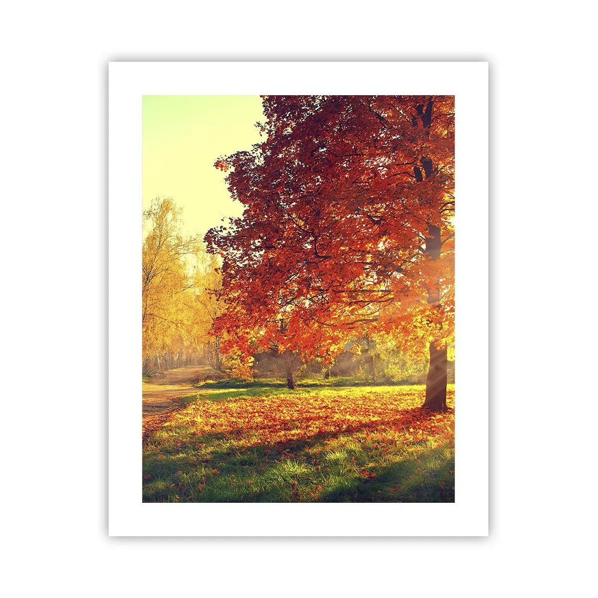 Affiche - Poster - Le roux est beau - 40x50 cm