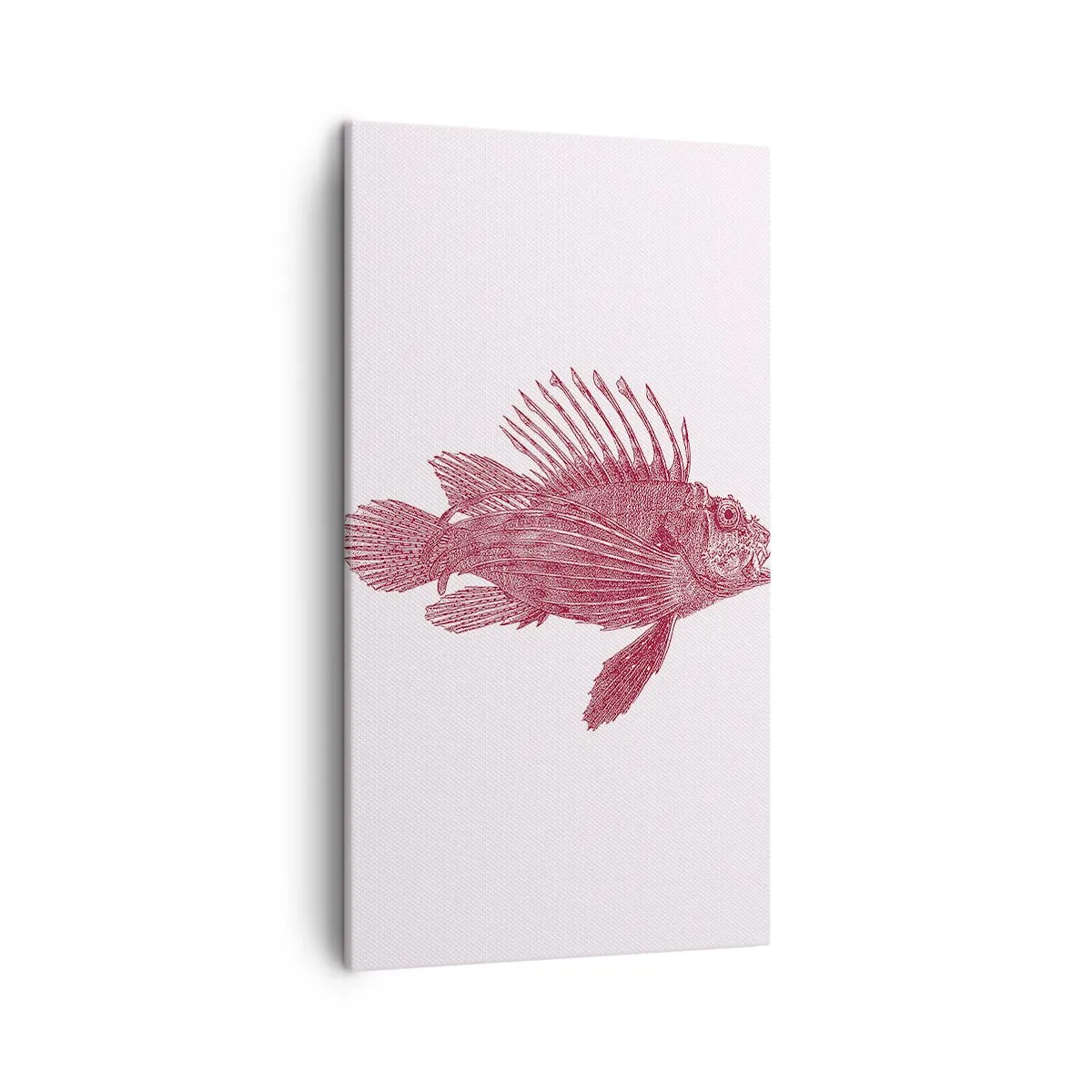 Impression sur toile - Image sur toile - Un habitant des eaux exotiques - 45x80 cm