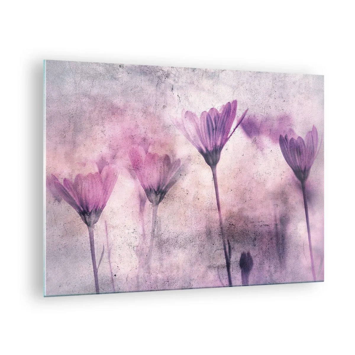 Impression sur verre - Image sur verre - Fleurs délicates aux tons pastel violets - 70x50cm - Rêve de fleurs - Décoration murale moderne pour le salon et la chambre ARTTOR
