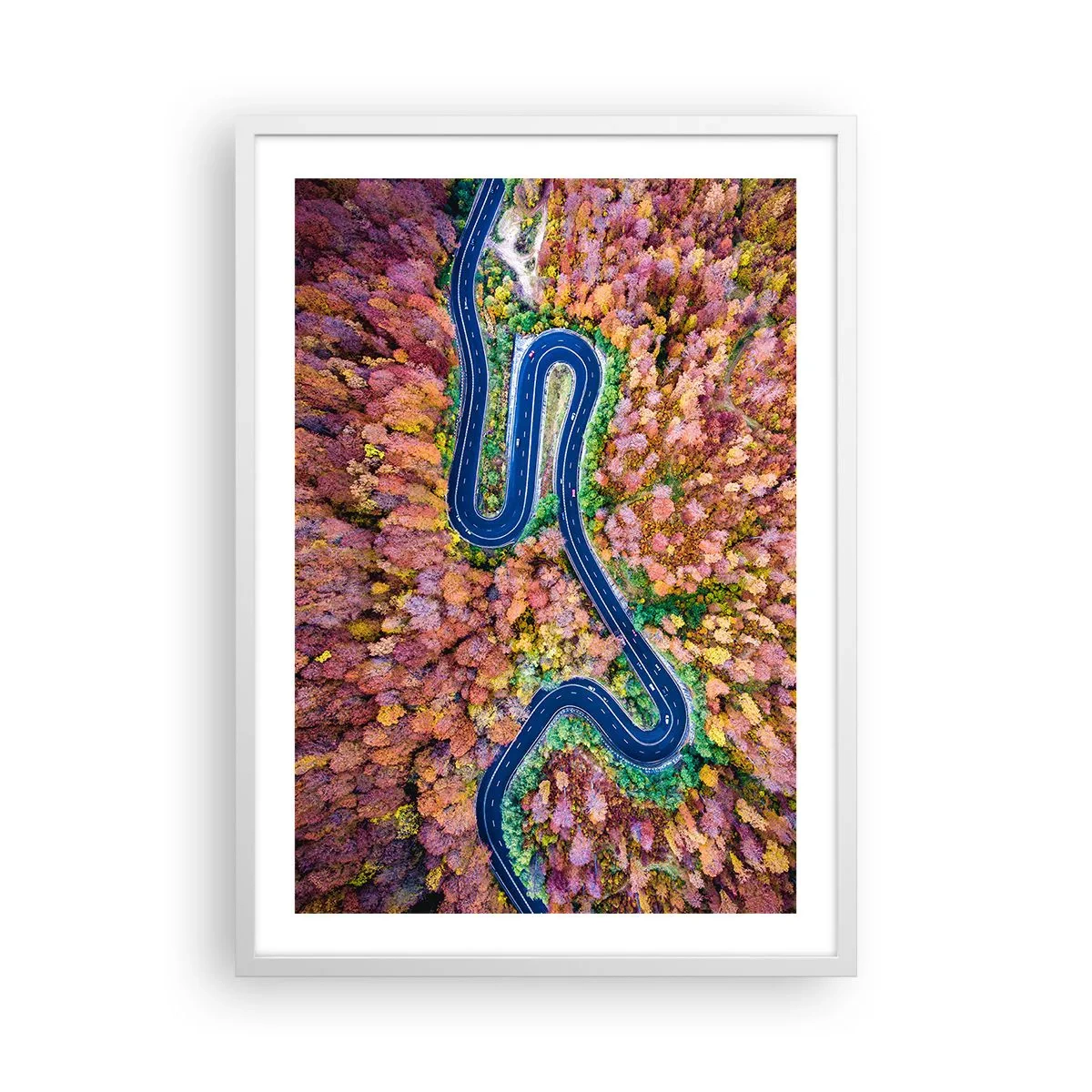 Affiche dans un cadre blanc - Poster - Route sinueuse à travers la forêt - 50x70 cm