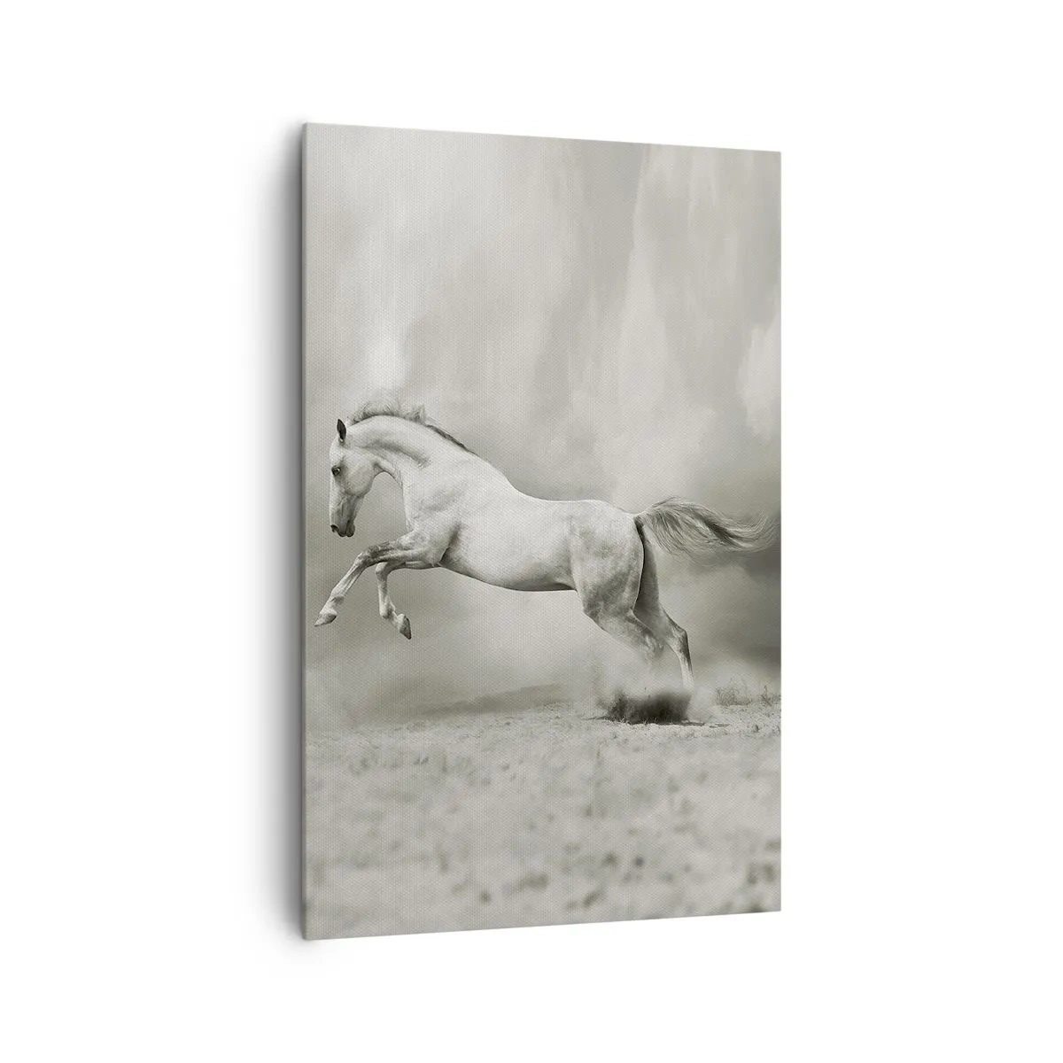 Impression sur toile - Image sur toile - Un cheval blanc dans un saut dynamique sur fond de nuages brumeux. - 80x120cm - Entre le réveil et le sommeil - Décoration murale moderne pour le salon et la chambre ARTTOR