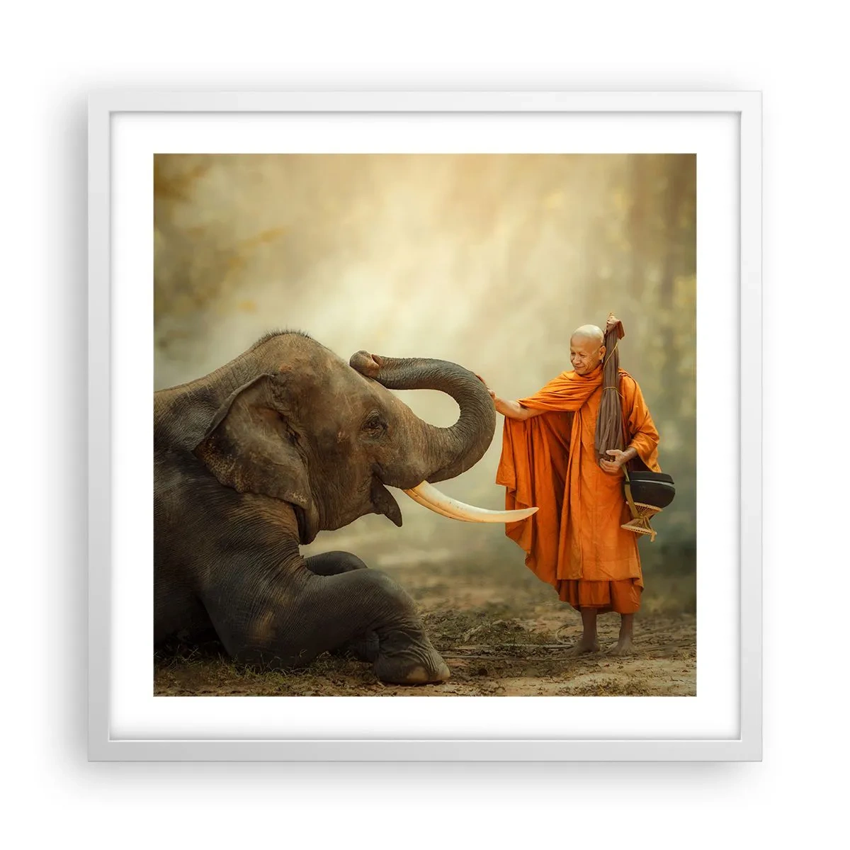 Affiche dans un cadre blanc - Poster - Rencontre en voyageant - 50x50 cm