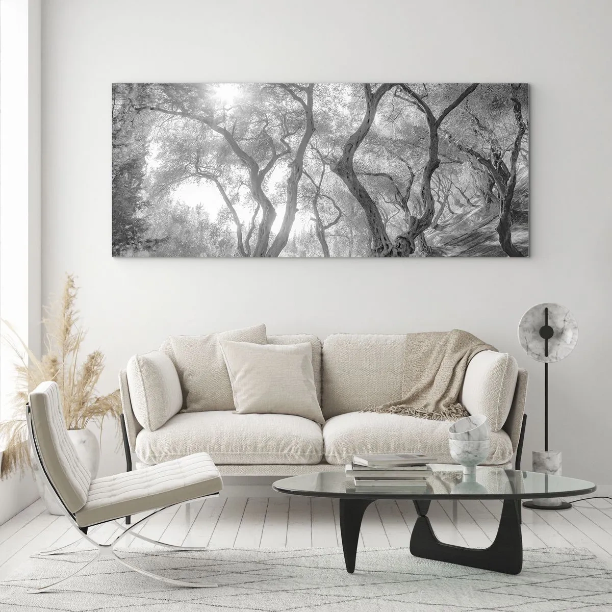 Impression sur verre - Image sur verre - Vue en noir et blanc d'arbres dans une oliveraie avec des rayons de soleil - 160x50cm - Dans l'oliveraie - Décoration murale moderne pour le salon et la chambre ARTTOR