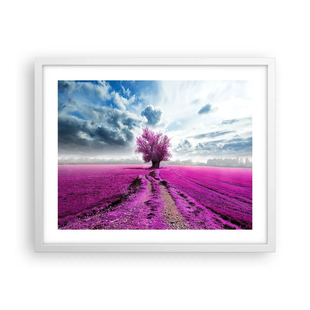 Affiche dans un cadre blanc - Poster - Lande - nature sauvage - 50x40 cm