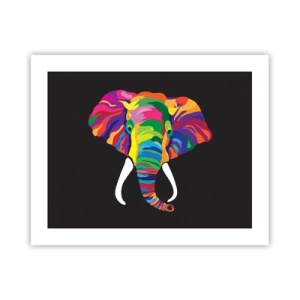 Affiche - Poster - L'éléphant qui aimait se baigner dans un arc-en-ciel - 50x40 cm