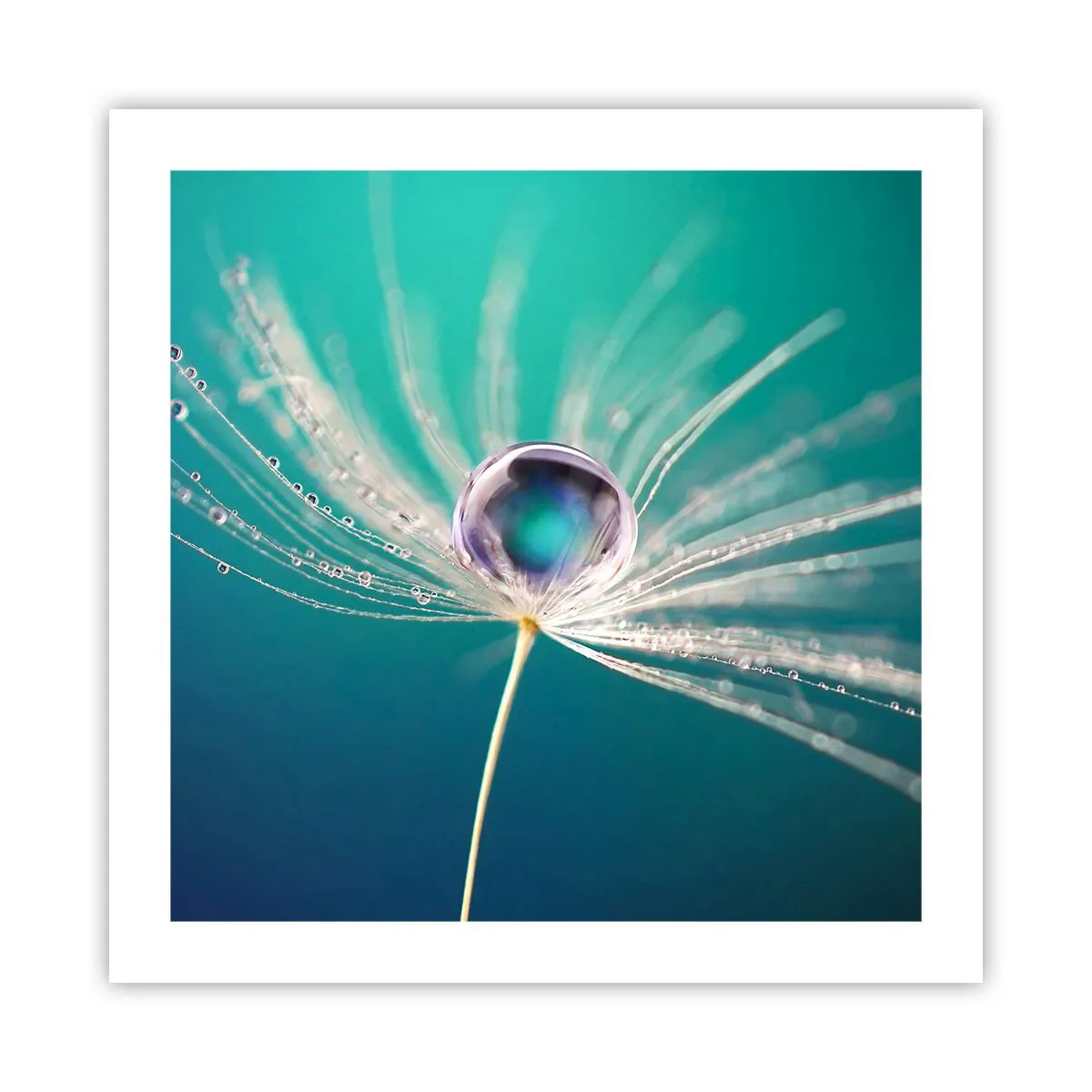 Affiche - Poster - Moment mystique - 50x50 cm