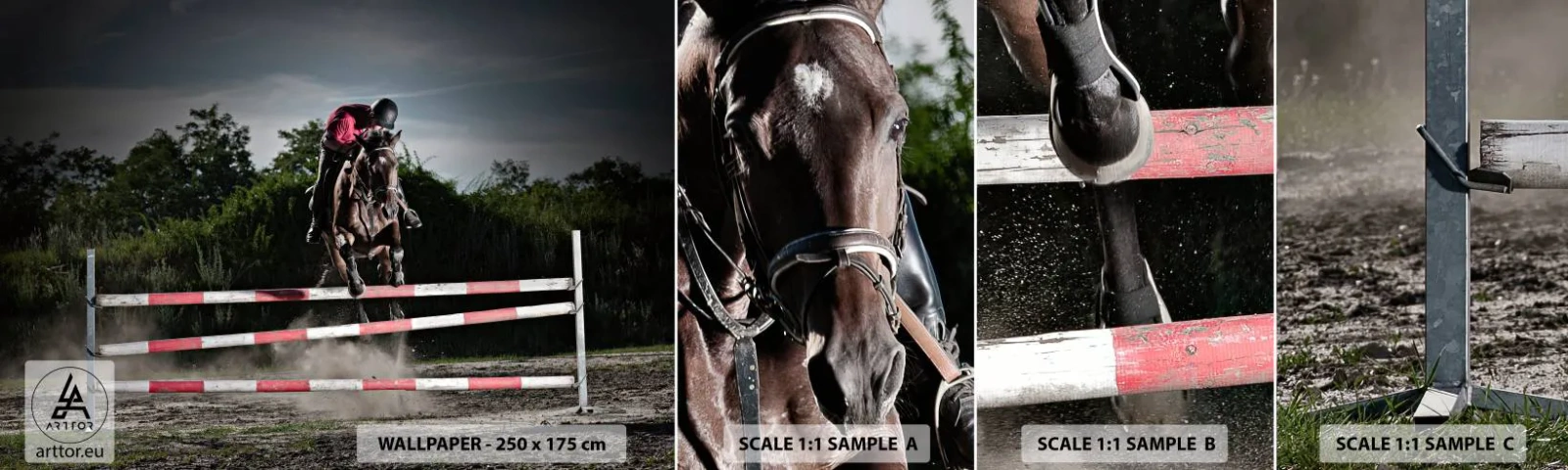 Échantillon De Papier Peint Standard Eco - Ensemble pour la victoire - Animaux, Cheval, sport - 100x30 cm