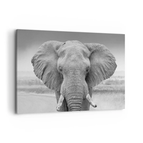 Impression sur toile - Image sur toile - Portrait d'un éléphant en noir et blanc - 120x80cm - Bienvenue dans mon monde - Décoration murale moderne pour le salon et la chambre ARTTOR