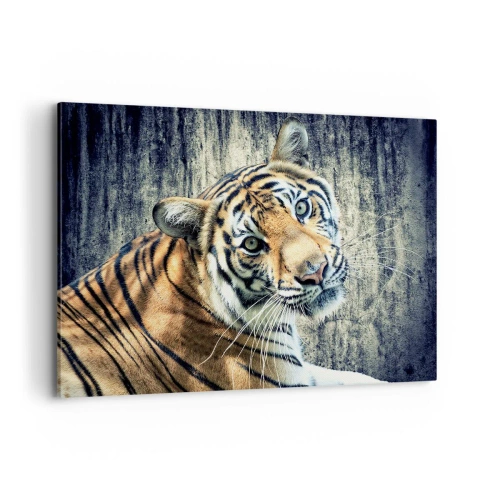 Impression sur toile - Image sur toile - Un tigre couché contre un mur à la texture rugueuse - 100x70cm - Portrait dans les flots de lumière - Décoration murale moderne pour le salon et la chambre ARTTOR