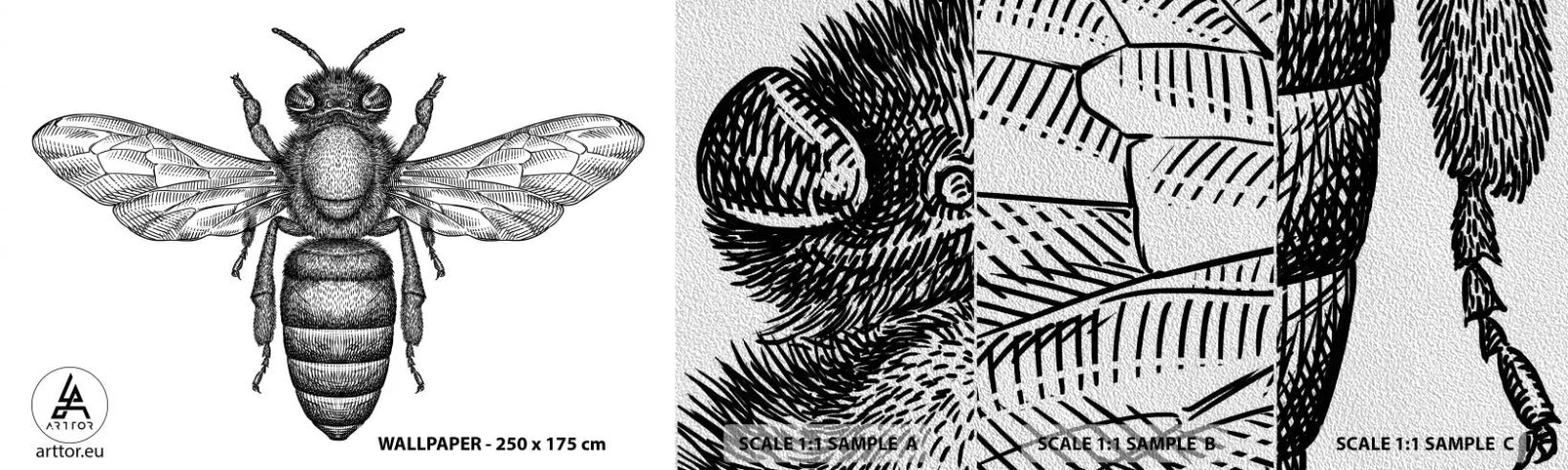Échantillon de Papier Peint Premium Sand - Portrait d'insecte - Abeille, Insecte, Minimaliste - 100x30 cm
