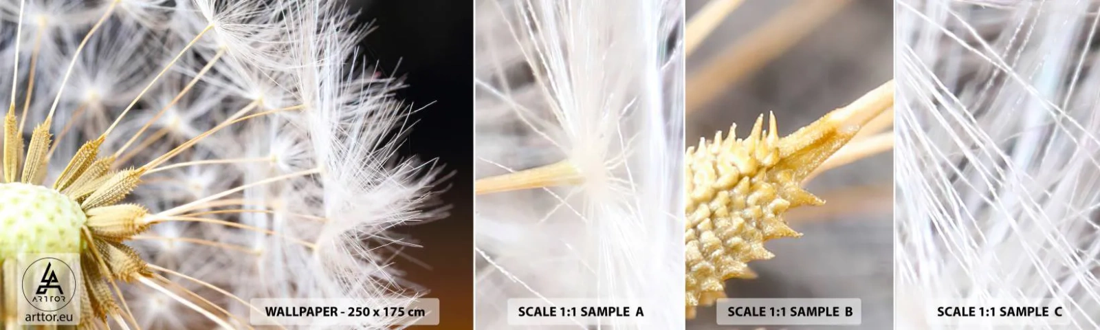 Échantillon de Papier Peint Autocollant Deluxe Sticker - Juste avant le départ - Fleur, Usine, Nature - 100x30 cm