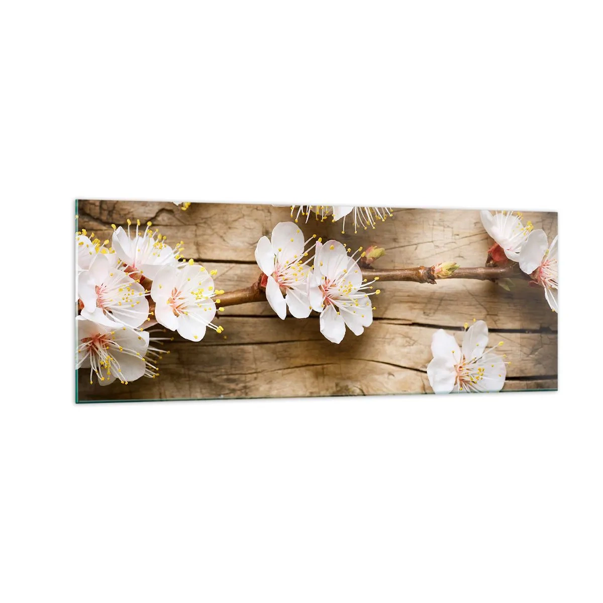 Impression sur verre - Image sur verre - Branches de cerisiers en fleurs sur fond de planche de bois - 140x50cm - Et c'est devenu le printemps - Décoration murale moderne pour le salon et la chambre ARTTOR