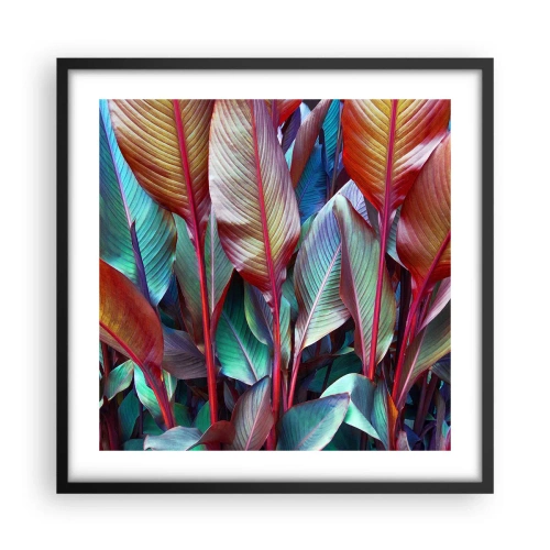 Affiche dans un cadre noir - Poster - Un fourré coloré - 50x50 cm
