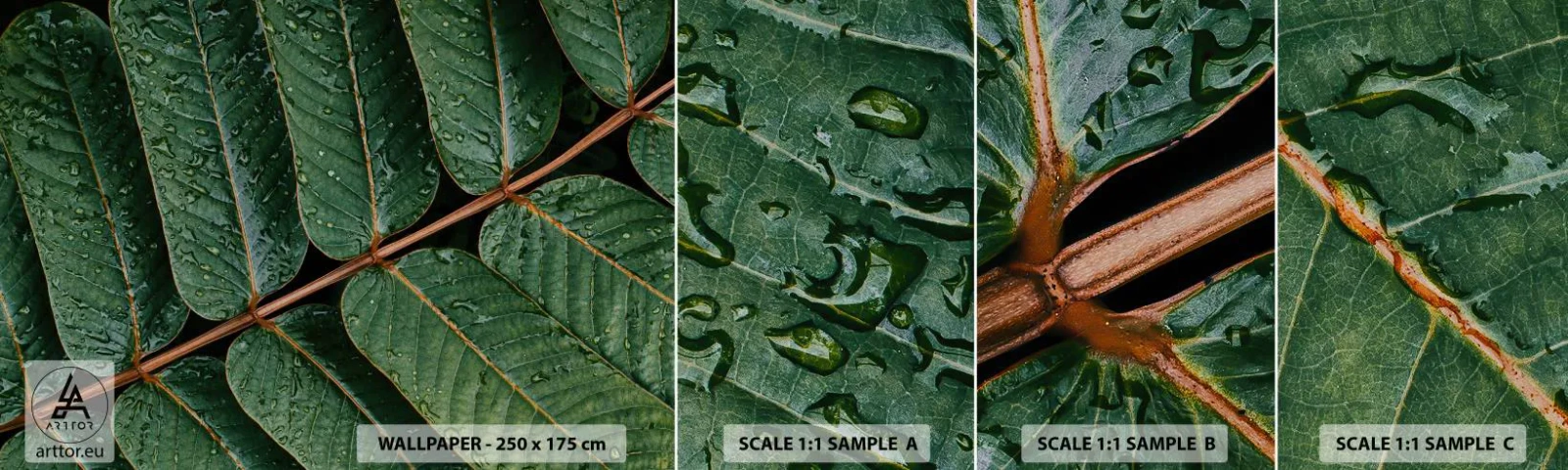 Échantillon de Papier Peint Autocollant Deluxe Sticker - Au rythme de la verdure - Feuilles vertes, Plante tropicale, Morceau - 100x30 cm