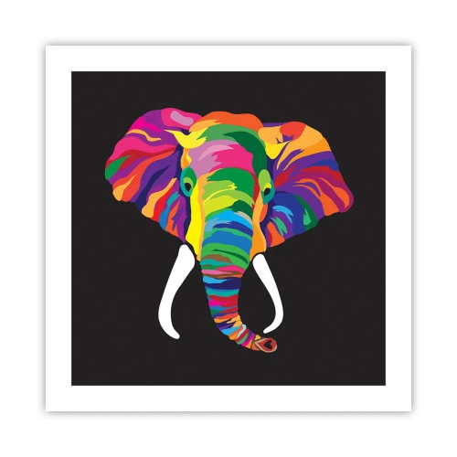 Affiche - Poster - L'éléphant qui aimait se baigner dans un arc-en-ciel - 50x50 cm
