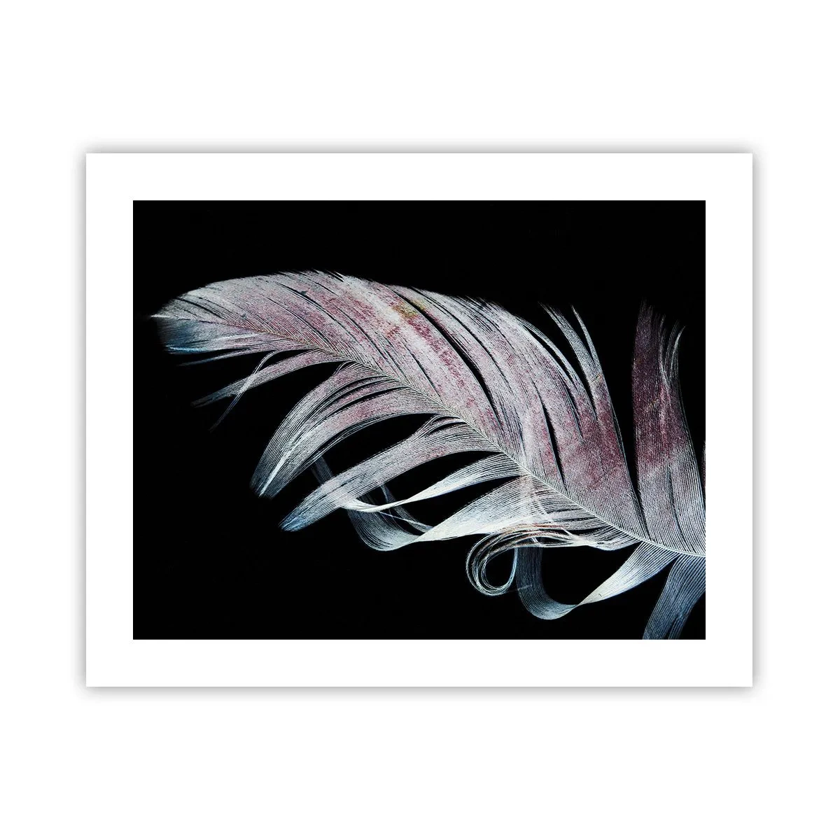 Affiche - Poster - Pensez au toucher - 50x40 cm