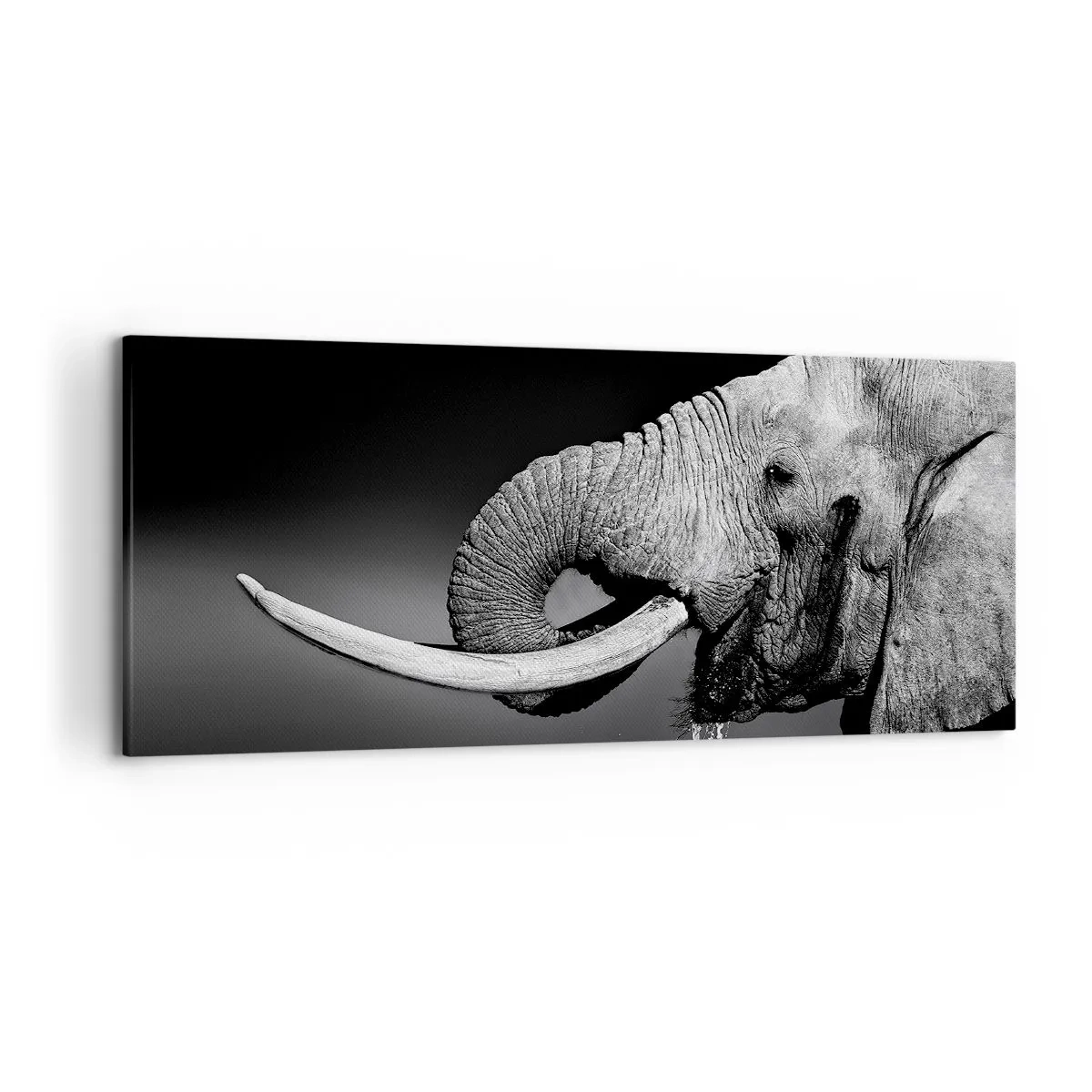 Impression sur toile - Image sur toile - Portrait noir et blanc d'un éléphant de profil - 120x50cm - Oui, c'est bon maintenant - Décoration murale moderne pour le salon et la chambre ARTTOR
