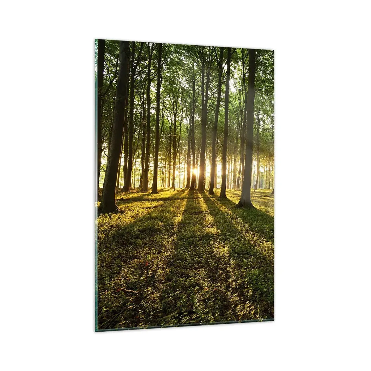 Impression sur verre - Image sur verre - Le soleil couchant dans la forêt de feuillus - 80x120cm - Toutes les photographies de printemps - Décoration murale moderne pour le salon et la chambre ARTTOR