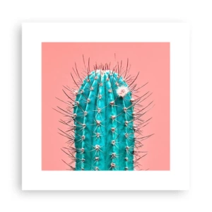 Affiche - Poster - Juste regarde - 30x30 cm