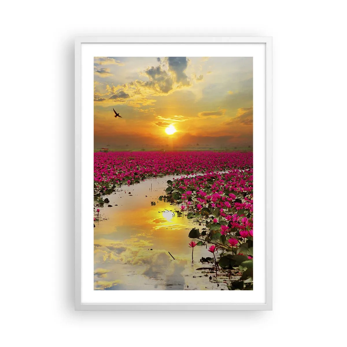 Affiche dans un cadre blanc - Poster - La vie secrète du lac - 50x70 cm