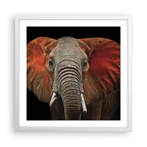 Affiche dans un cadre blanc - Poster - Je suis sauvage, et toi? - 50x50 cm