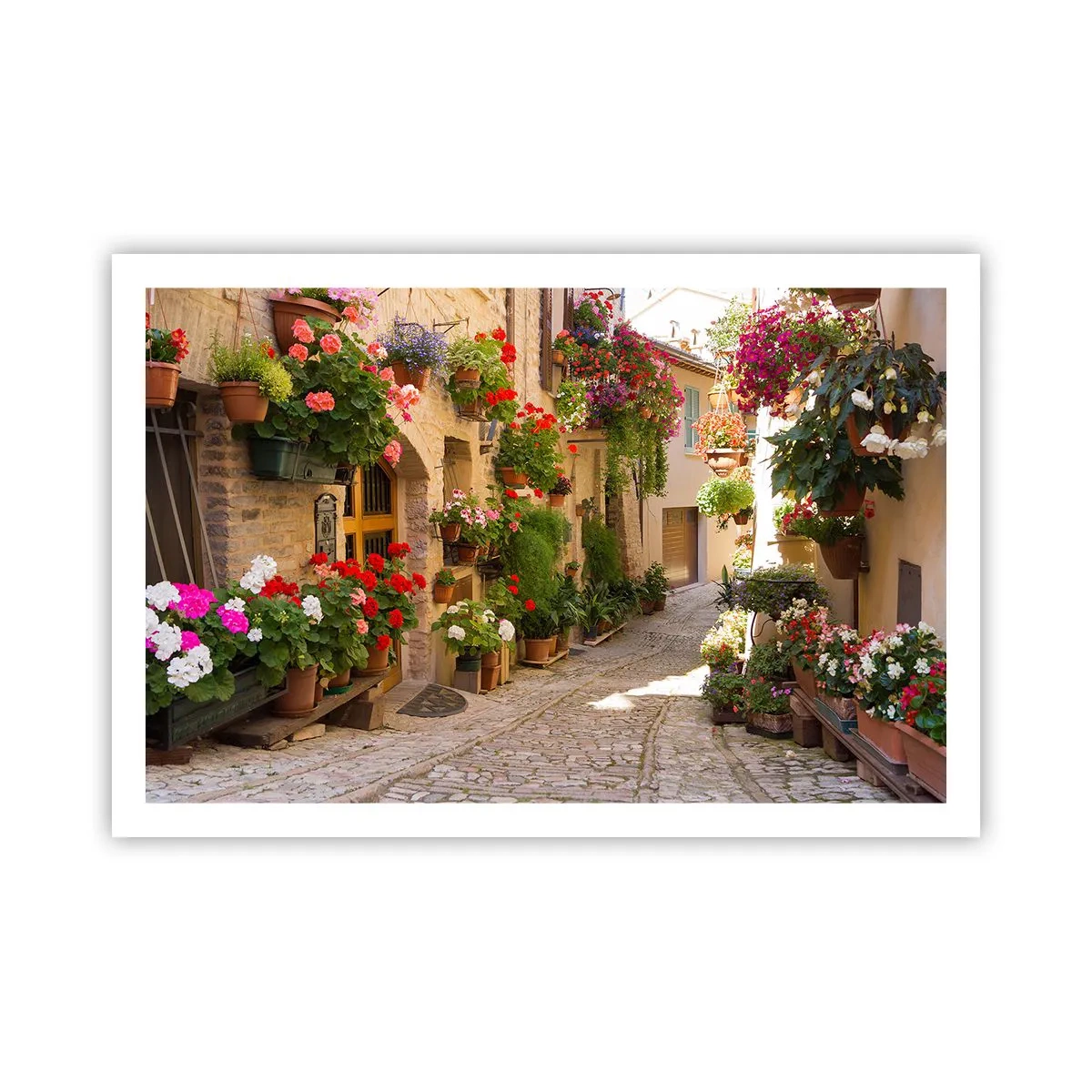 Affiche - Poster - Une inondation de fleurs  - 91x61 cm