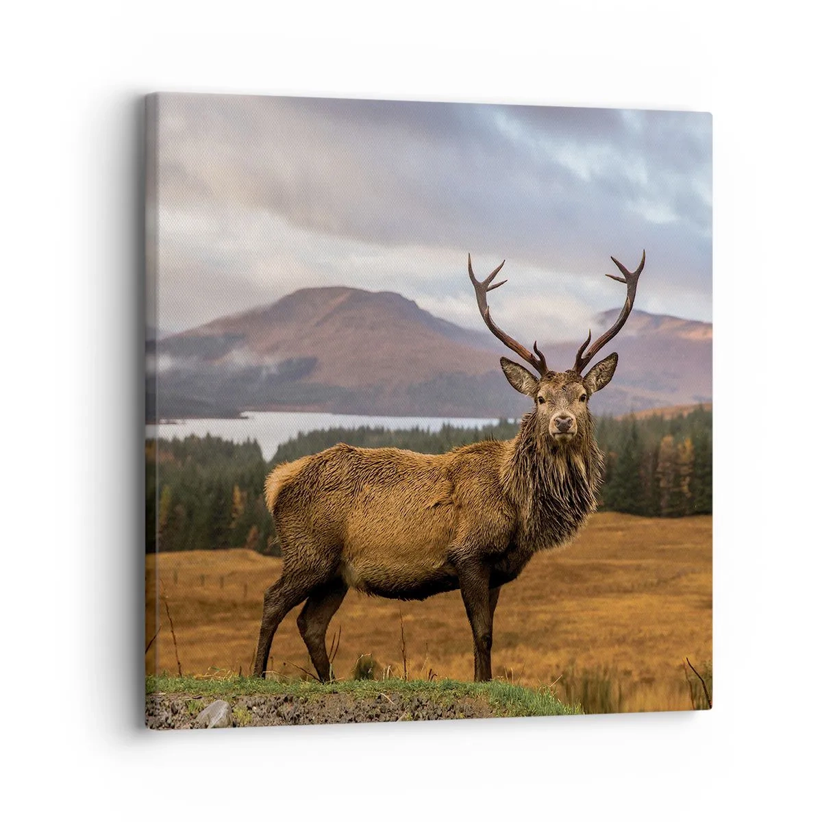 Impression sur toile - Image sur toile - Majesté de la nature - 30x30 cm